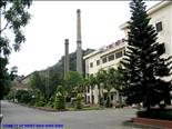 Công ty CP Nhiệt điện Ninh Bình - Điểm sáng trong công tác môi trường 